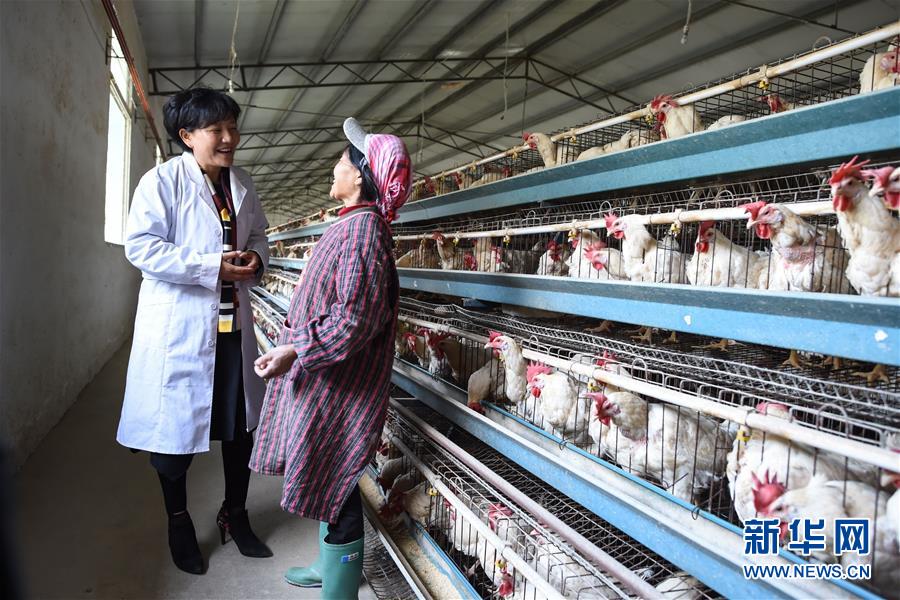 （改革先鋒風(fēng)采&middot;圖文互動(dòng)）（2）余留芬：讓人人有事干戶戶都小康