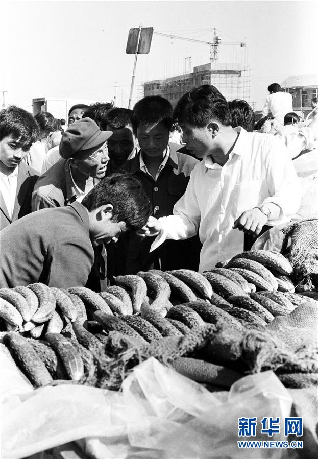 (改革先鋒風采·圖文互動)(3)王伯祥:山東壽光蔬菜產業的推動者