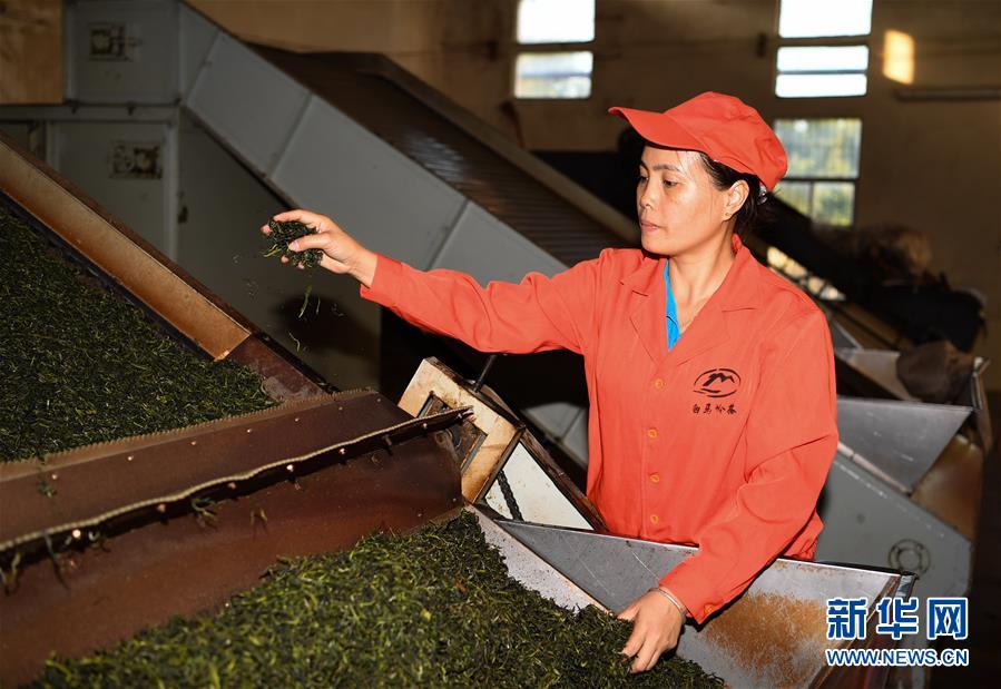 （奮進新時代&middot;迎接兩會）（2）開放發展&mdash;&mdash;推動形成全面開放新格局