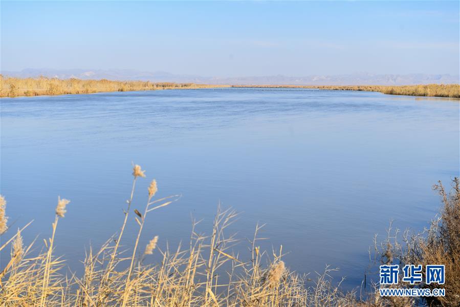 （在習近平新時代中國特色社會主義思想指引下&mdash;&mdash;新時代新作為新篇章&middot;圖文互動）（1）打響綠色品牌 &ldquo;四控&rdquo;治污增效&mdash;&mdash;內蒙古巴彥淖爾探索農業高質量發展