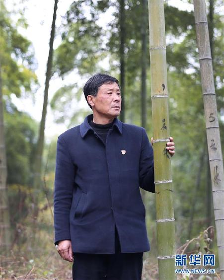 （改革先鋒風采&middot;圖文互動）（1）鮑新民：&ldquo;綠水青山就是金山銀山&rdquo;理念的踐行者