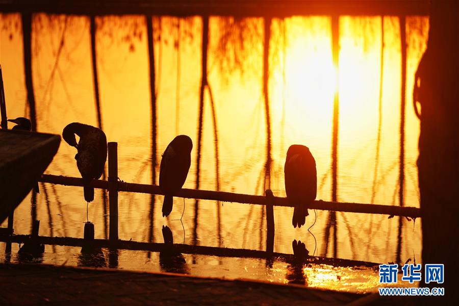 (新華全媒頭條·圖文互動)(8)“雄安大計”躍然紙上 “未來之城”呼之欲出——《河北雄安新區總體規劃》解讀