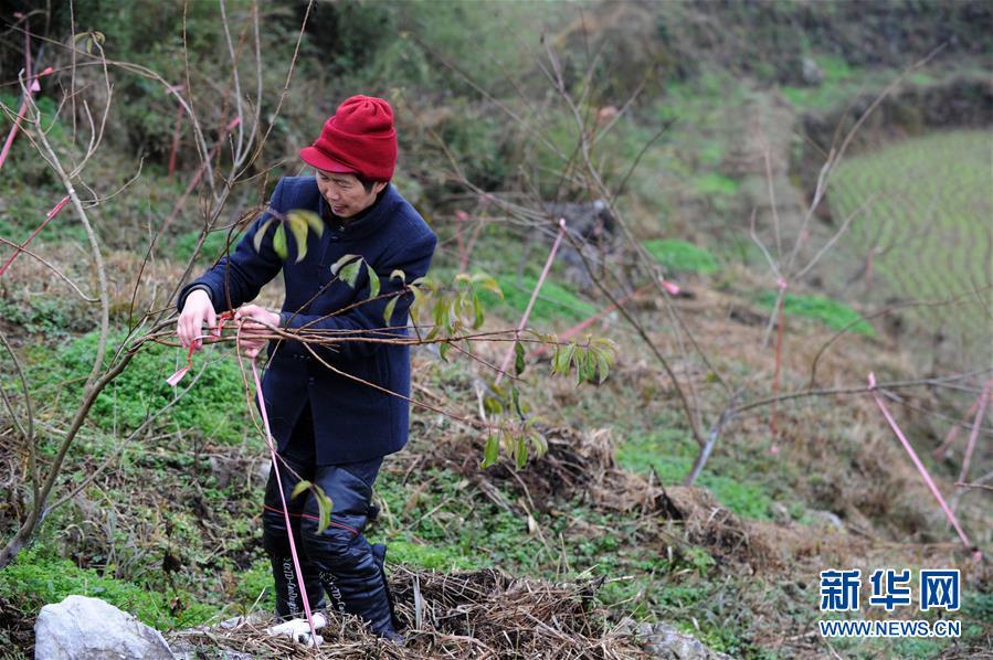 （圖文互動）（3）平靜而充滿力量&mdash;&mdash;&ldquo;中國網事&middot;感動2018&rdquo;年度網絡人物群像