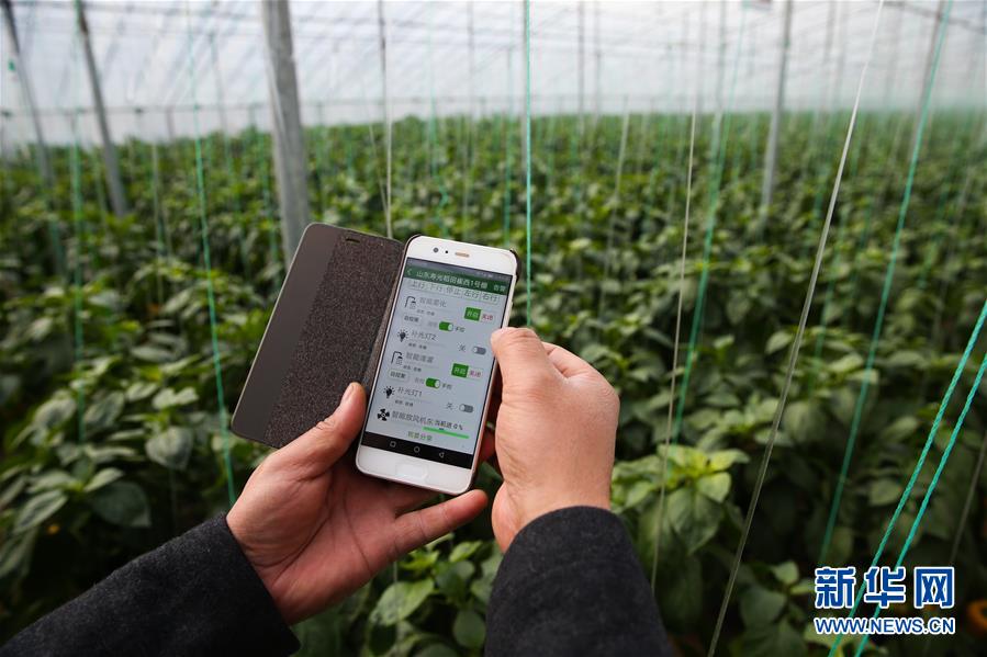 （新華全媒頭條&middot;圖文互動）（8）聚焦高質量，躍上新臺階&mdash;&mdash;新年開局看中國經濟信心和潛力