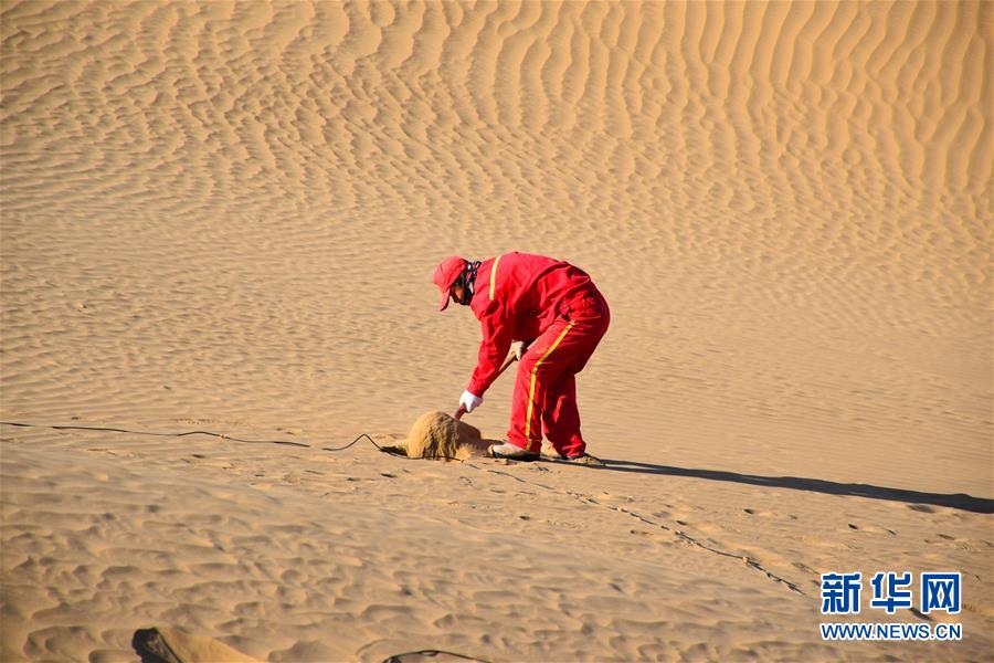 （新春走基層&middot;圖文互動(dòng)）（3）走進(jìn)塔克拉瑪干：探訪沙漠物探人