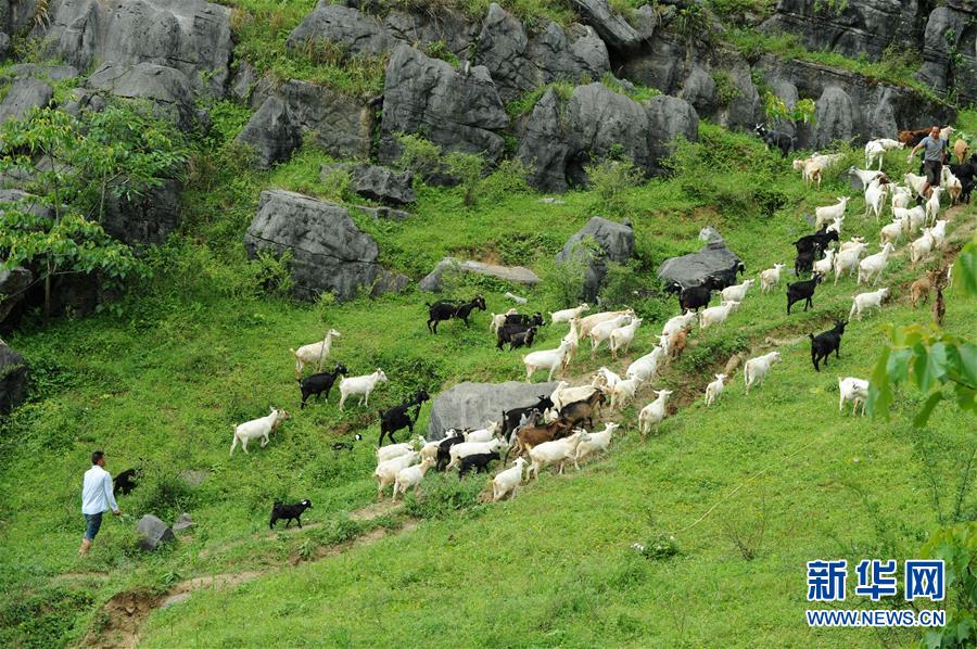 (兩會前夕看落實·圖文互動)(2)決戰(zhàn)脫貧攻堅 奮力后發(fā)趕超——貴州落實習近平總書記全國兩會重要講話精神紀實