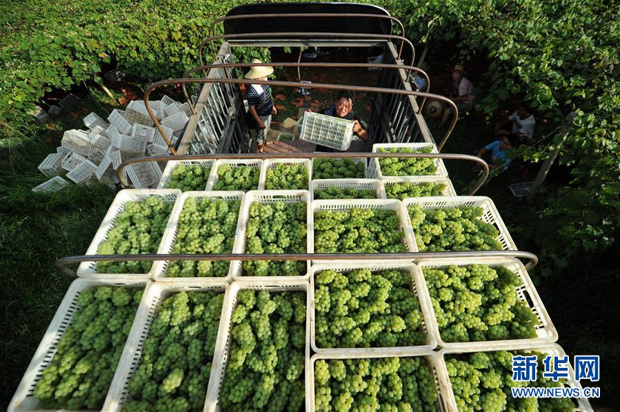 (兩會前夕看落實·圖文互動)(7)決戰(zhàn)脫貧攻堅 奮力后發(fā)趕超——貴州落實習近平總書記全國兩會重要講話精神紀實