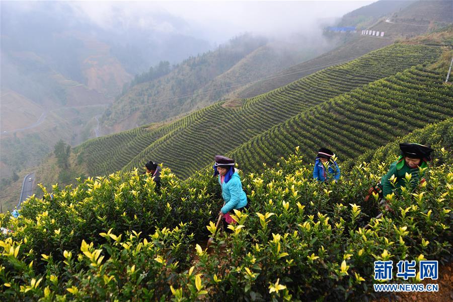 (兩會前夕看落實·圖文互動)(8)決戰(zhàn)脫貧攻堅 奮力后發(fā)趕超——貴州落實習近平總書記全國兩會重要講話精神紀實