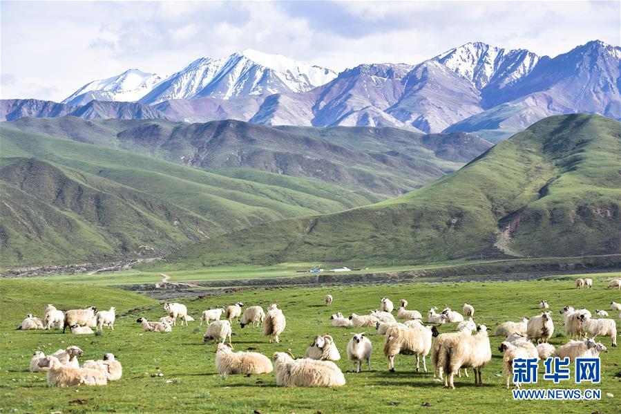 （兩會前夕看落實&middot;圖文互動）（1）以&ldquo;一優兩高&rdquo;戰略描繪三江源壯美畫卷&mdash;&mdash;青海落實習近平總書記全國兩會重要講話精神紀實