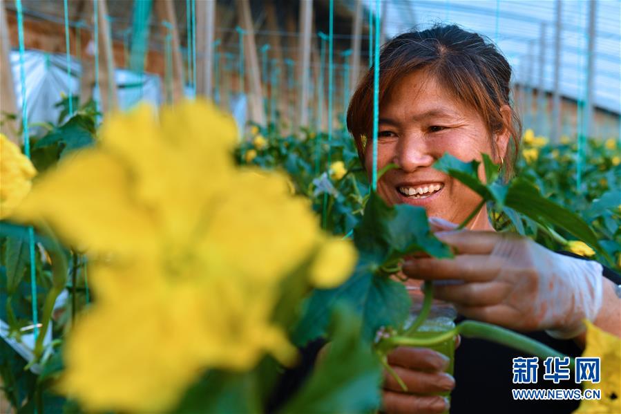 （兩會前夕看落實&middot;圖文互動）（4）融合&ldquo;三生三美&rdquo; 打造鄉村振興齊魯樣板&mdash;&mdash;山東落實習近平總書記全國兩會重要講話精神紀實