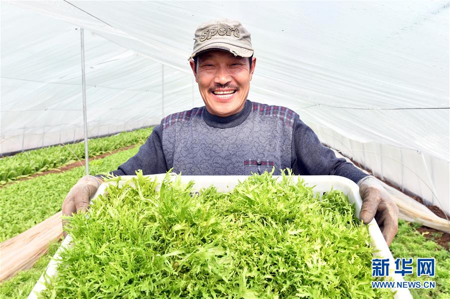 （兩會前夕看落實&middot;圖文互動）（3）融合&ldquo;三生三美&rdquo; 打造鄉村振興齊魯樣板&mdash;&mdash;山東落實習近平總書記全國兩會重要講話精神紀實