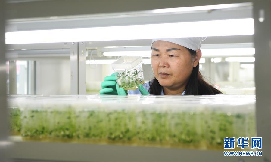 （兩會前夕看落實&middot;圖文互動）（5）春風涌動兩江潮&mdash;&mdash;重慶落實習近平總書記全國兩會重要講話精神紀實