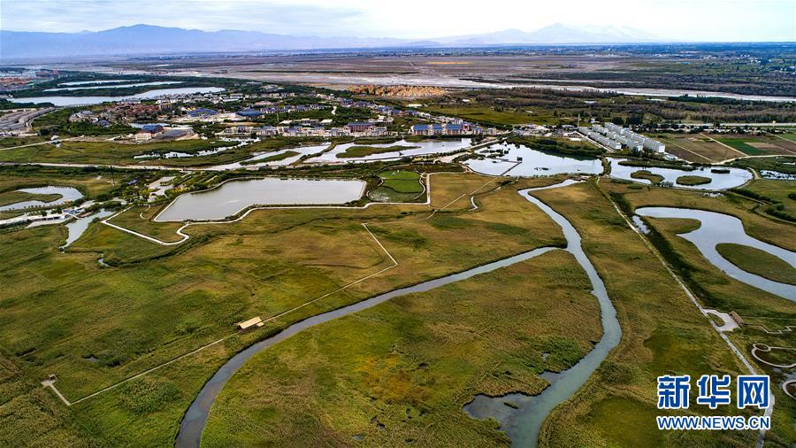 (新華全媒頭條·圖文互動)(5)攻堅(jiān),為了美麗中國——黨的十八大以來污染防治紀(jì)實(shí)