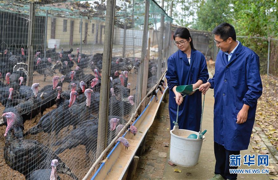 （新華全媒頭條&middot;兩會特別報道&middot;圖文互動）（4）凝聚不懈奮斗的磅礴力量&mdash;&mdash;從全國兩會看奮進中國的奮斗姿態