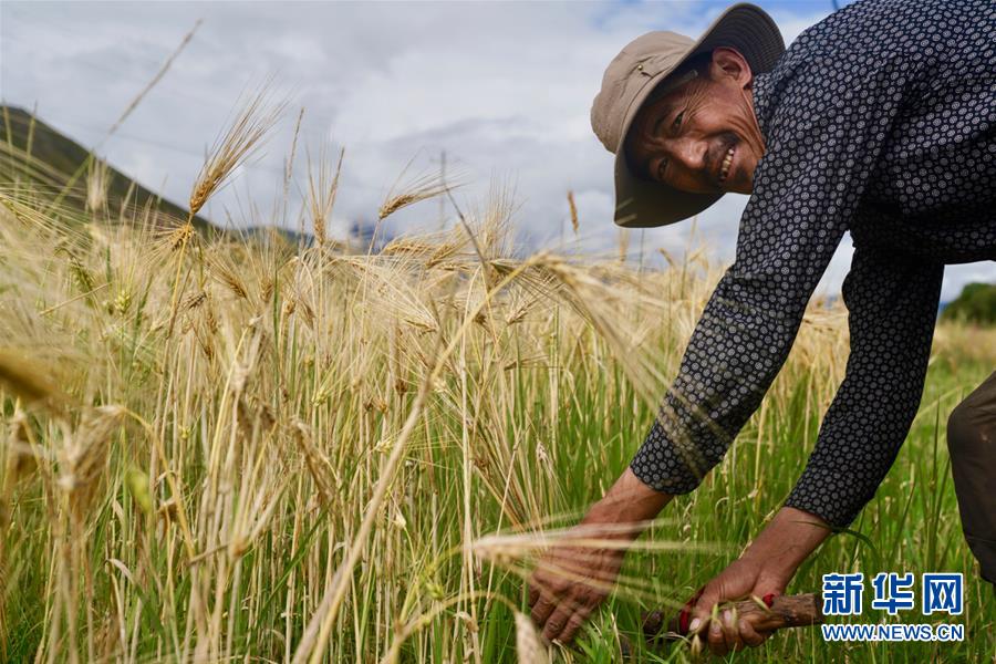 （新華全媒頭條&middot;圖文互動）（5）昂首闊步向未來&mdash;&mdash;寫在西藏民主改革60周年之際