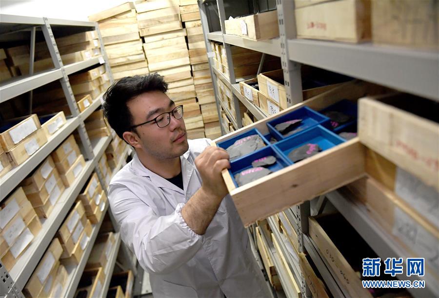 （新華全媒頭條&middot;圖文互動）（4）探尋5億年前&ldquo;生命大爆炸&rdquo;之奧秘&mdash;&mdash;中國科學家發現寒武紀&ldquo;化石寶庫&rdquo;清江生物群紀實