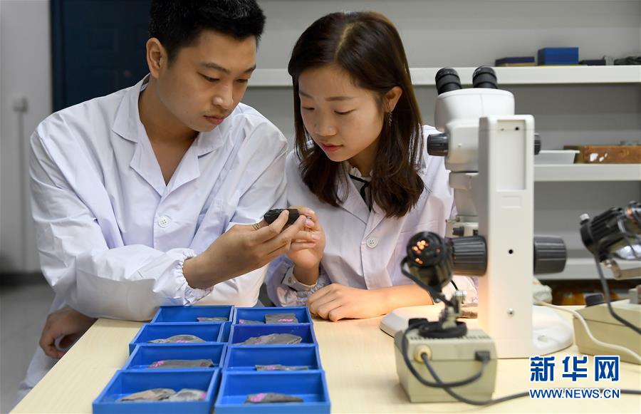 （新華全媒頭條&middot;圖文互動）（5）探尋5億年前&ldquo;生命大爆炸&rdquo;之奧秘&mdash;&mdash;中國科學家發現寒武紀&ldquo;化石寶庫&rdquo;清江生物群紀實