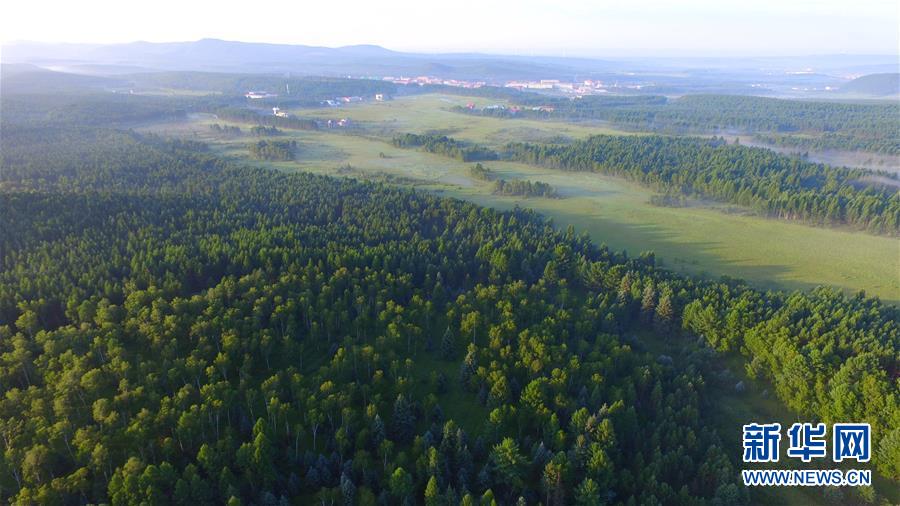 （新華全媒頭條&middot;北京世園會&middot;圖文互動）（5）建設美麗中國 共筑綠色家園&mdash;&mdash;寫在2019年中國北京世界園藝博覽會開幕之際