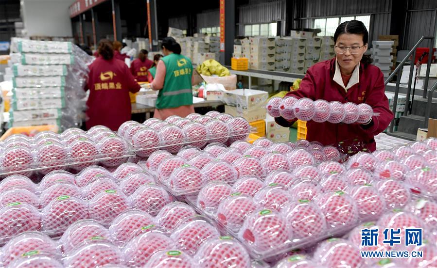 （新華全媒頭條&middot;圖文互動(dòng)）（2）追夢在新時(shí)代的春天里&mdash;&mdash;革命圣地延安告別絕對(duì)貧困巡禮