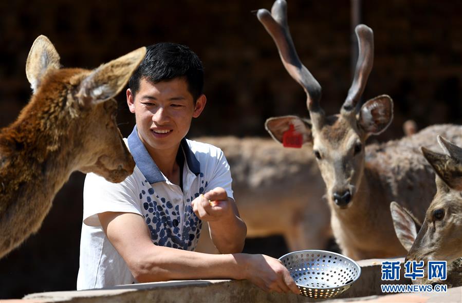 （新華全媒頭條&middot;圖文互動(dòng)）（6）追夢在新時(shí)代的春天里&mdash;&mdash;革命圣地延安告別絕對(duì)貧困巡禮