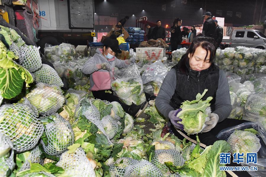 （壯麗70年&middot;奮斗新時(shí)代&middot;圖文互動(dòng)）（1）山東壽光：一棵&ldquo;菜&rdquo;興一座城 