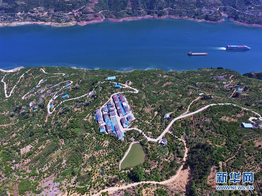 （在習(xí)近平新時(shí)代中國(guó)特色社會(huì)主義思想指引下&mdash;&mdash;新時(shí)代新作為新篇章）（2）重慶巫山：&ldquo;生態(tài)寶貝&rdquo;變身&ldquo;搖錢樹(shù)&rdquo;