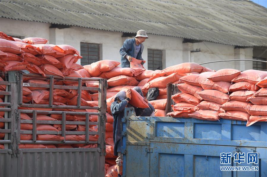 (在習(xí)近平新時(shí)代中國特色社會主義思想指引下——新時(shí)代新作為新篇章·圖文互動)(1)云南省陸良縣:農(nóng)民給供銷社打“白條”