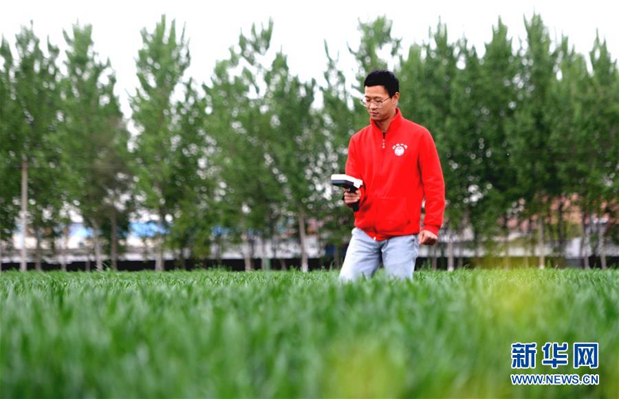 (新華全媒頭條·愛國情 奮斗者·圖文互動)(5)把論文寫在祖國的大地上——中國農業(yè)大學46年扎根河北曲周服務鄉(xiāng)村振興紀實