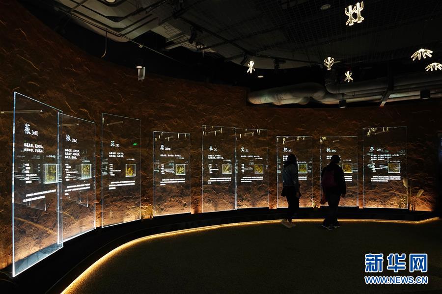 （在習近平新時代中國特色社會主義思想指引下&mdash;&mdash;新時代新作為新篇章&middot;圖文互動）（4）從世園會&ldquo;看&rdquo;中國綠色發展之路&mdash;&mdash;寫在北京世園會&ldquo;中國國家館日&rdquo;到來之際