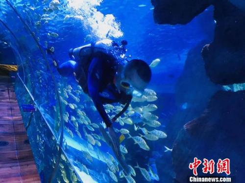 蘭州極地海洋世界工作人員杜成功擦拭櫥窗。艾慶龍 攝 點擊進入下一頁