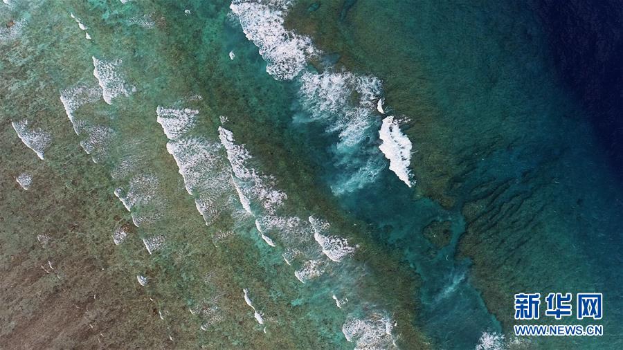 (壯麗70年·奮斗新時代·新華全媒頭條·圖文互動)(2)“你在我的航程上,我在你的視線里”——走進(jìn)海軍西沙中建島官兵的五彩世界