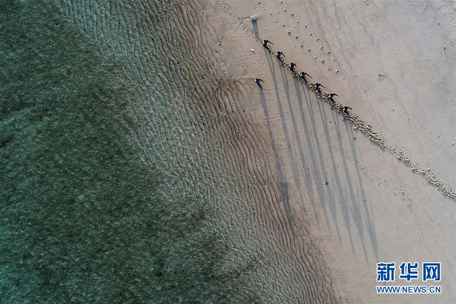 (壯麗70年·奮斗新時代·新華全媒頭條·圖文互動)(3)“你在我的航程上,我在你的視線里”——走進(jìn)海軍西沙中建島官兵的五彩世界