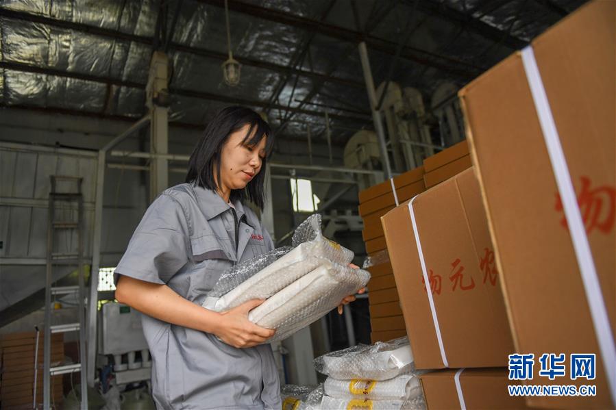 （在習近平新時代中國特色社會主義思想指引下&mdash;&mdash;新時代新作為新篇章&middot;圖文互動）（6）大學生種田讓農民&ldquo;老把式&rdquo;開了眼&mdash;&mdash;吉林長白山下的稻田新事