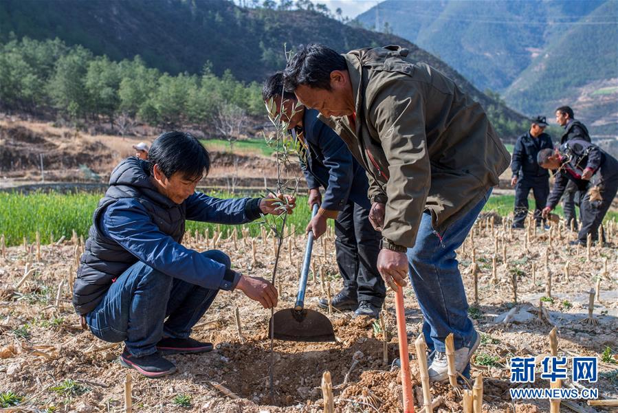 （新華全媒頭條&middot;圖文互動）（4）藏區&ldquo;感恩連&rdquo;