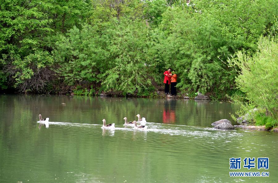 （在習(xí)近平新時(shí)代中國特色社會(huì)主義思想指引下&mdash;&mdash;新時(shí)代新作為新篇章&middot;圖文互動(dòng)）（4）在這里，遇見&ldquo;詩和遠(yuǎn)方&rdquo;&mdash;&mdash;長白山下&ldquo;第一鎮(zhèn)&rdquo;的全域旅游實(shí)踐