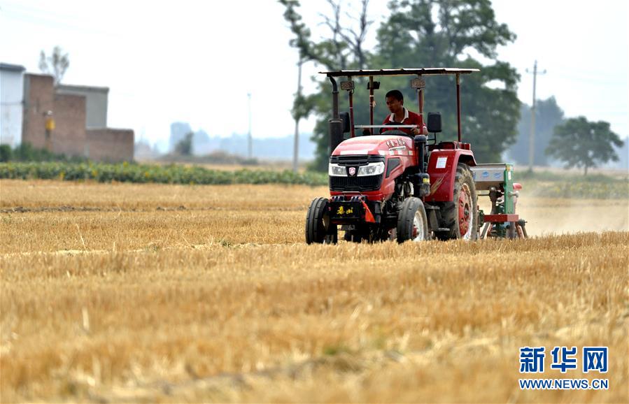 （新華全媒頭條&middot;圖文互動）（8）一個傳統農業縣的脫貧之路&mdash;&mdash;來自河北新河的調查報告
