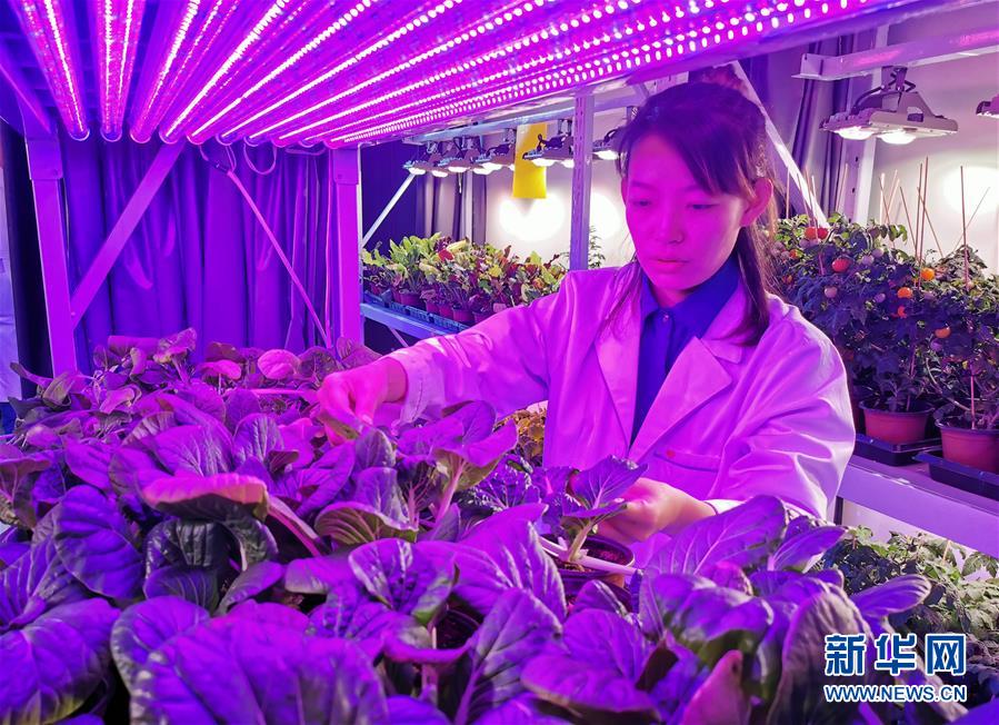 （愛國情 奮斗者&middot;圖文互動）（5）池建義團隊：把論文寫在產品上