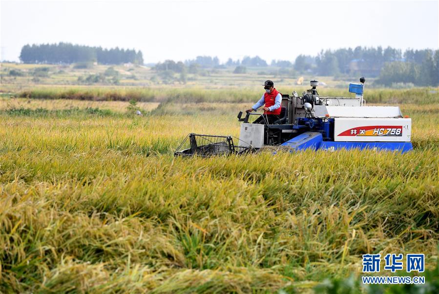 (壯麗70年·奮斗新時(shí)代——共和國(guó)發(fā)展成就巡禮·圖文互動(dòng))(3)安徽70年:改革創(chuàng)新書寫時(shí)代答卷