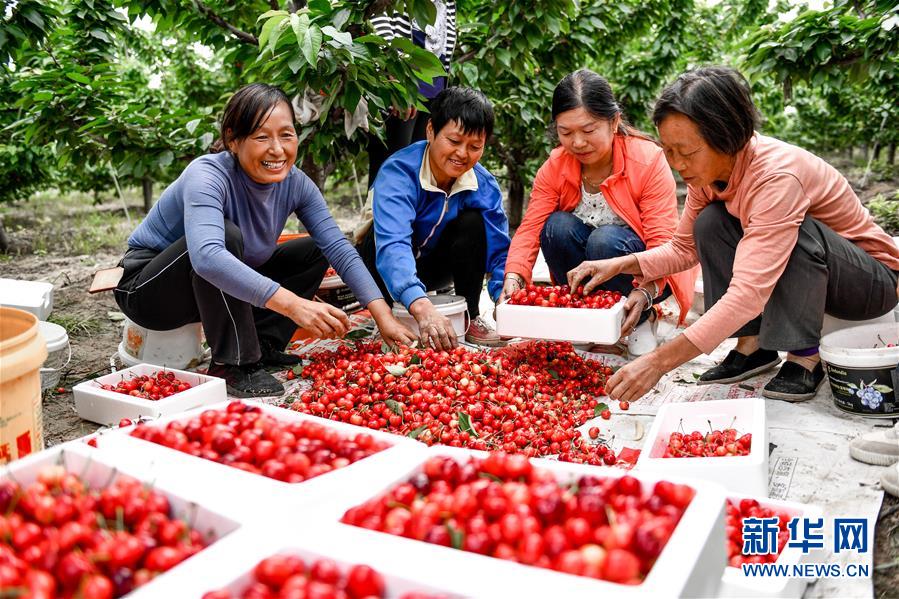（在習(xí)近平新時(shí)代中國特色社會(huì)主義思想指引下&mdash;&mdash;新時(shí)代新作為新篇章&middot;圖文互動(dòng)）（2）中條山下綠意濃&mdash;&mdash;一個(gè)&ldquo;資源窮縣&rdquo;的生態(tài)發(fā)展之路