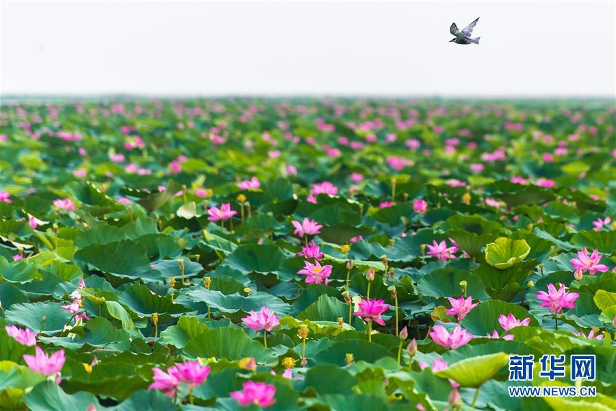 （壯麗70年&middot;奮斗新時代&mdash;&mdash;共和國發展成就巡禮&middot;圖文互動）（5）潮涌楚天闊&mdash;&mdash;湖北砥礪奮進70年譜寫高質量發展華章