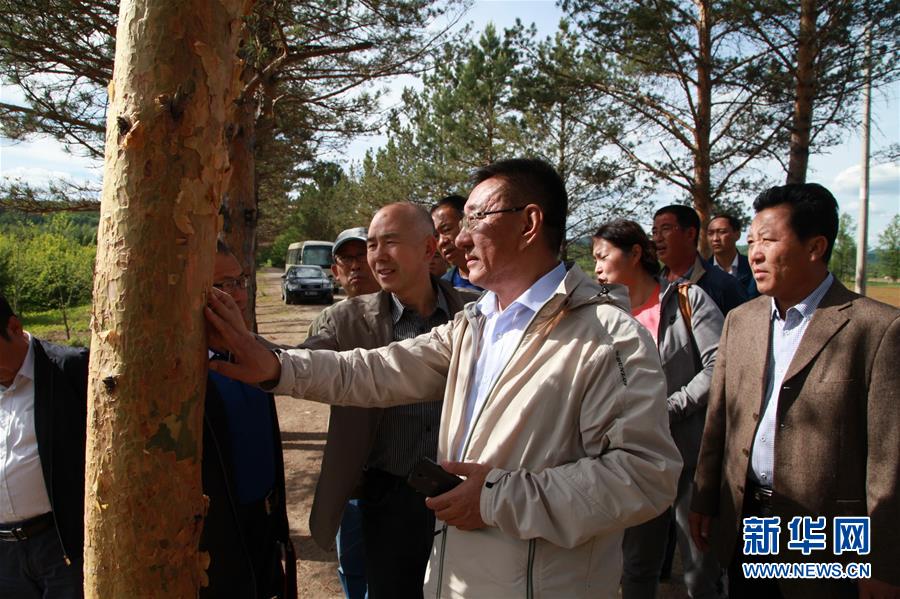 (新華全媒頭條·圖文互動)(4)用生命守護那片綠色——追記內蒙古大興安嶺林區干部于海俊