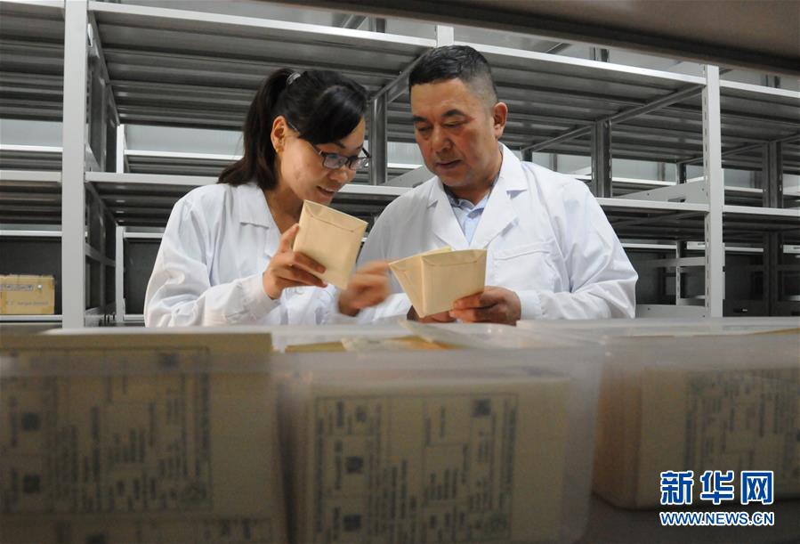 (愛國情 奮斗者·圖片互動)(2)張永平:像打造“中國芯”一樣打造“中國葵”