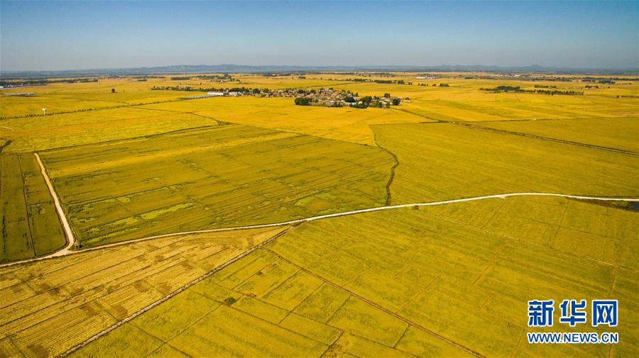 （在習近平新時代中國特色社會主義思想指引下&mdash;&mdash;新時代新作為新篇章&middot;圖文互動）（2）吉林萬昌現代農業發展先導區&ldquo;三變&rdquo; 