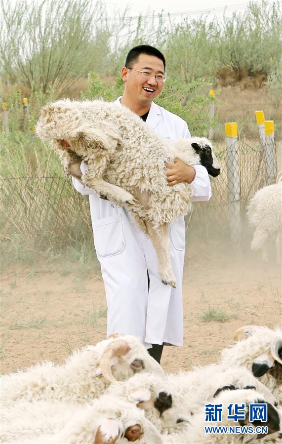 (壯麗70年·奮斗新時代——共和國發展成就巡禮·圖文互動)(3)生態美、百姓富——品讀嶄新“寧夏畫卷”