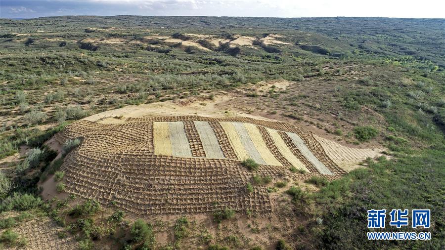 (壯麗70年·奮斗新時代——共和國發展成就巡禮·圖文互動)(6)生態美、百姓富——品讀嶄新“寧夏畫卷”