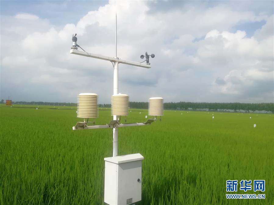 （在習近平新時代中國特色社會主義思想指引下&mdash;&mdash;新時代新作為新篇章&middot;圖文互動）（1）從&ldquo;靠天吃飯&rdquo;到&ldquo;看天管理&rdquo;&mdash;&mdash;黑龍江創(chuàng)新氣象為農(nóng)服務體系觀察