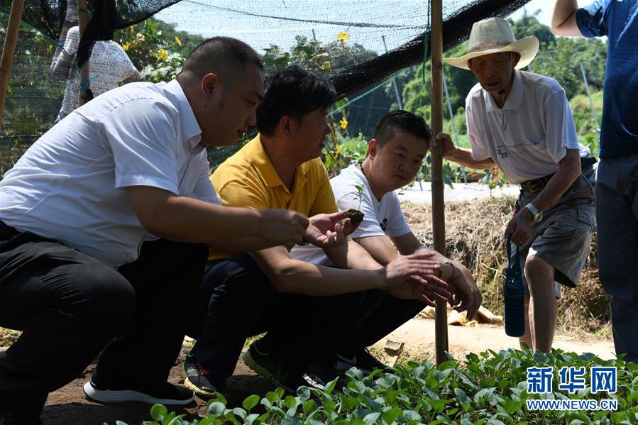 （圖文互動(dòng)）（3）烏蒙山區(qū)扶貧第一書記背后的&ldquo;老監(jiān)工&rdquo;