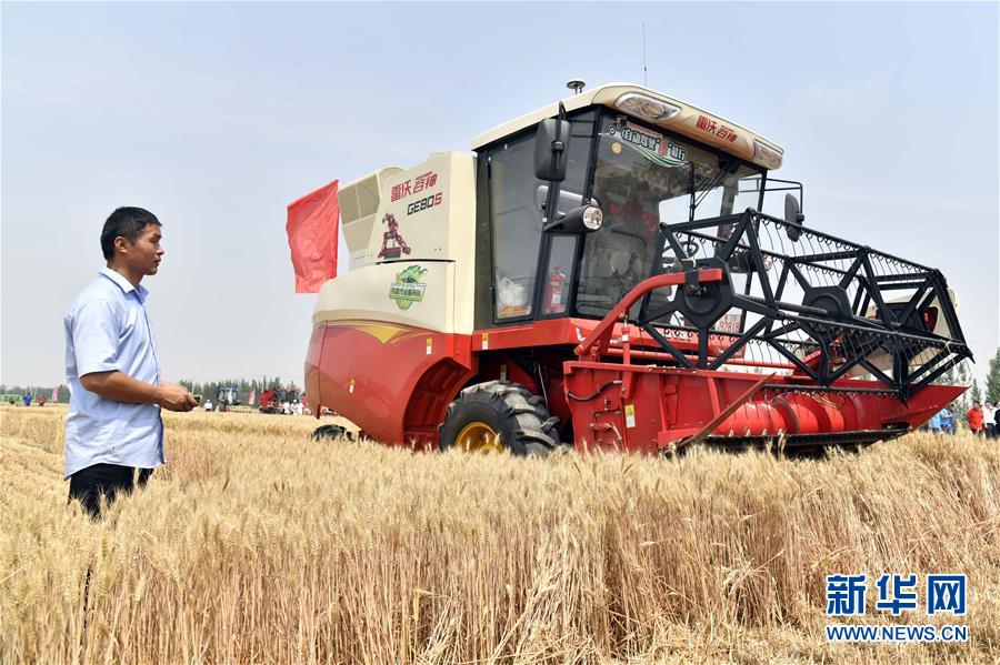 (壯麗70年·奮斗新時代——共和國發(fā)展成就巡禮)(2)看今朝齊風魯韻 七十載芳華正勁——新中國成立以來山東領(lǐng)先發(fā)展紀實