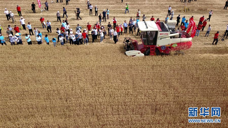 (壯麗70年·奮斗新時代——共和國發(fā)展成就巡禮)(3)看今朝齊風魯韻 七十載芳華正勁——新中國成立以來山東領(lǐng)先發(fā)展紀實