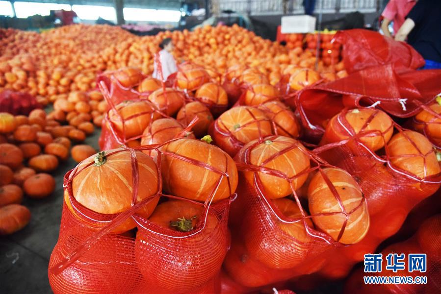 (壯麗70年·奮斗新時代——共和國發(fā)展成就巡禮)(6)看今朝齊風魯韻 七十載芳華正勁——新中國成立以來山東領(lǐng)先發(fā)展紀實